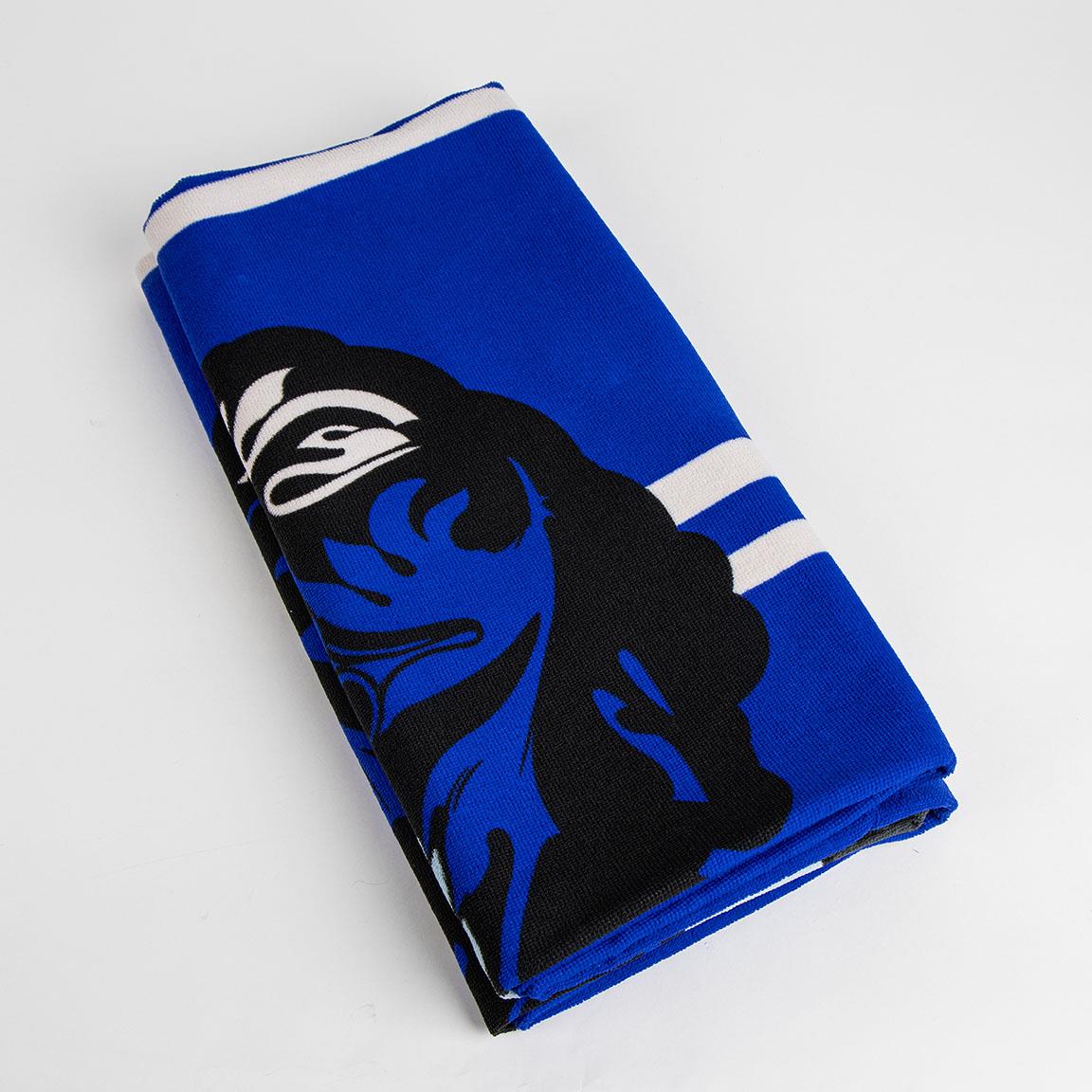 TOALLA MICROFIBRA HARRY POTTER RAVENCLAW - Imagen 3