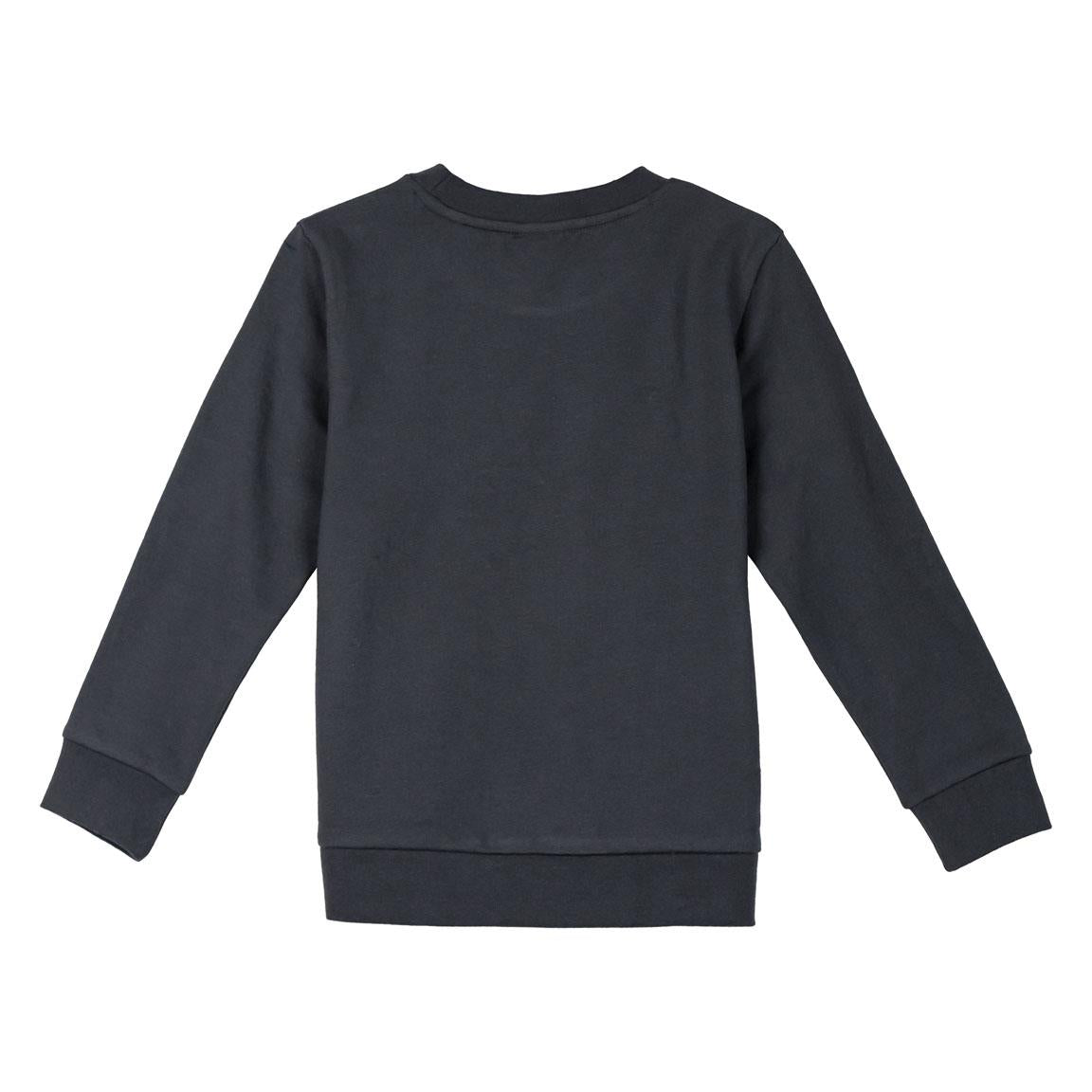 SUDADERA COTTON BRUSHED LION KING - Imagen 2