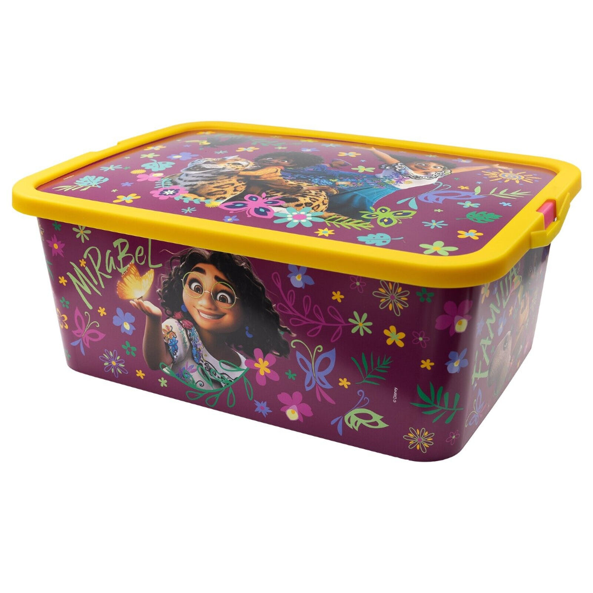 CAJA CLICK 13 L ENCANTO