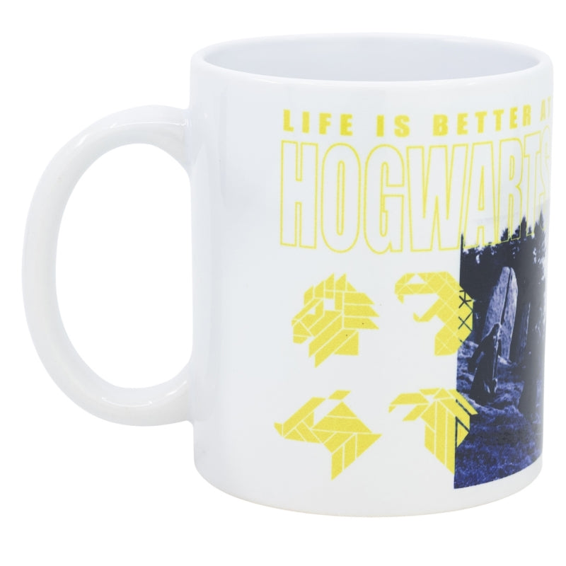 TAZA CERAMICA SB 325 ML EN CAJA HARRY POTTER DESIGN 1 - Imagen 1