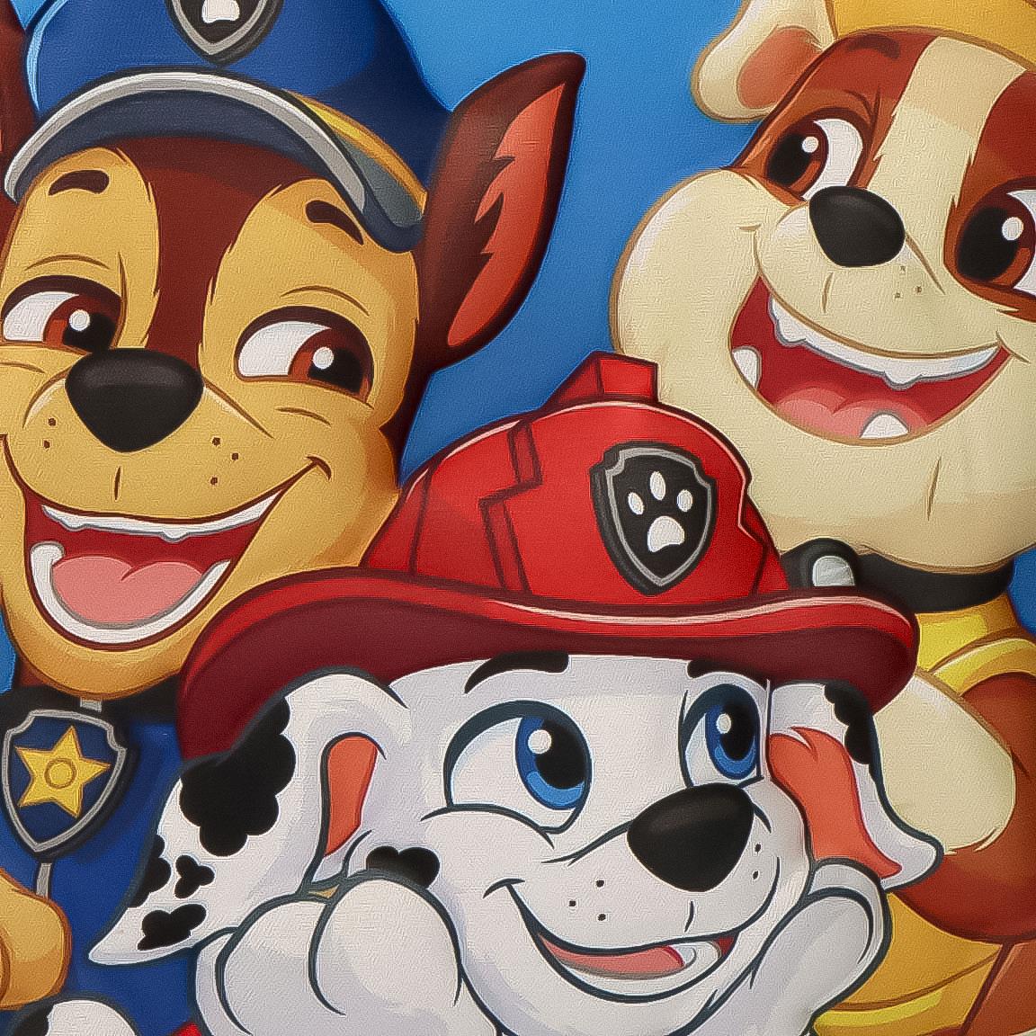 BOLSA ISOTERMICA 3D PAW PATROL