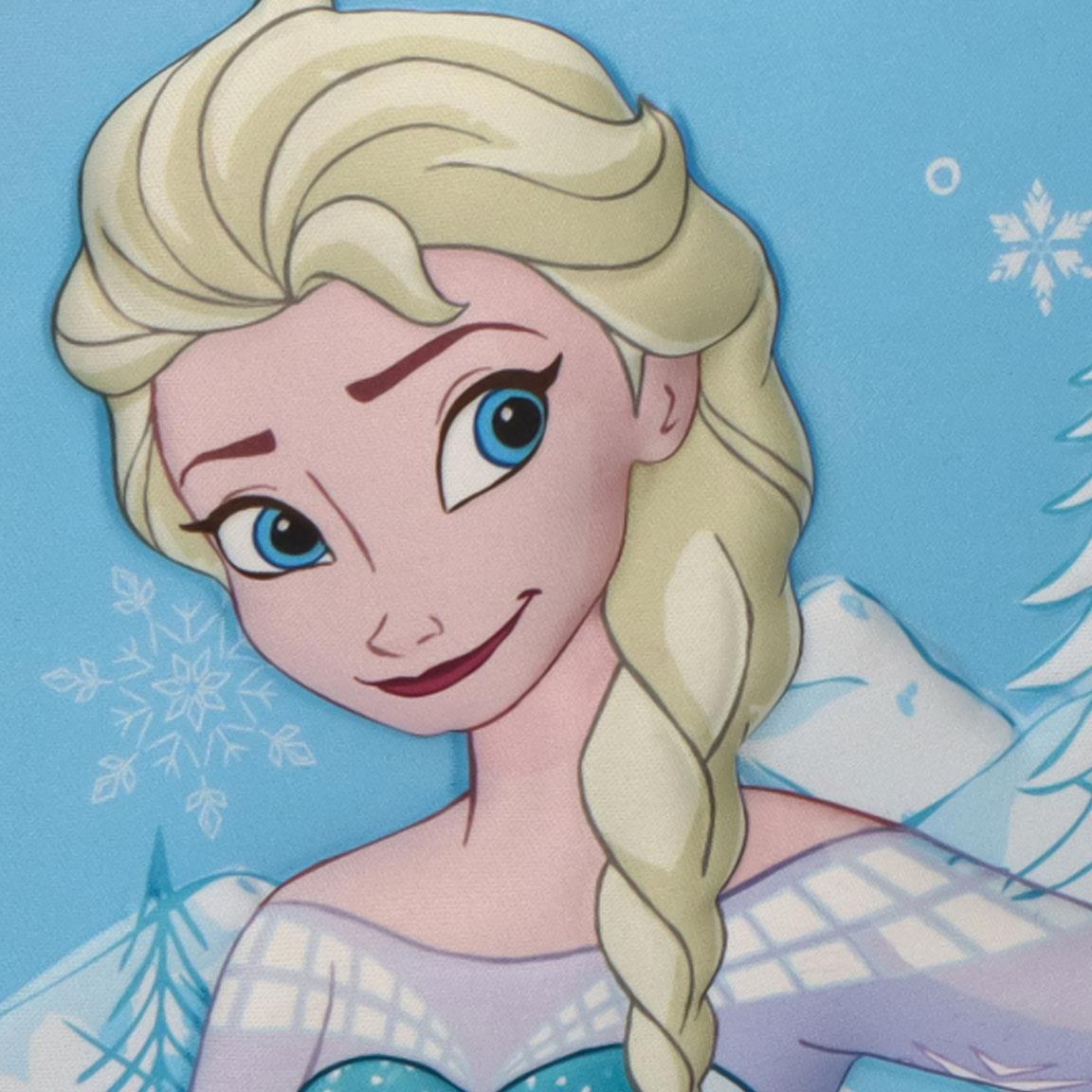 BOLSA ISOTERMICA FROZEN
