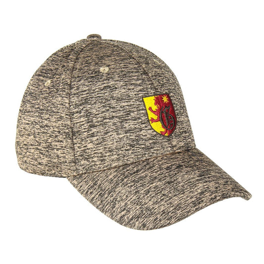 GORRA VISERA CURVA HARRY POTTER