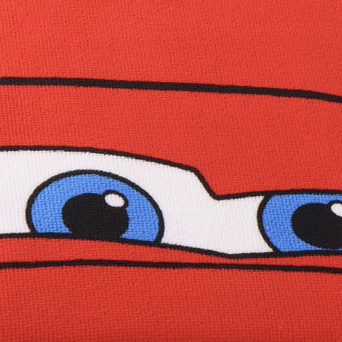 PONCHO MICROFIBRA CARS