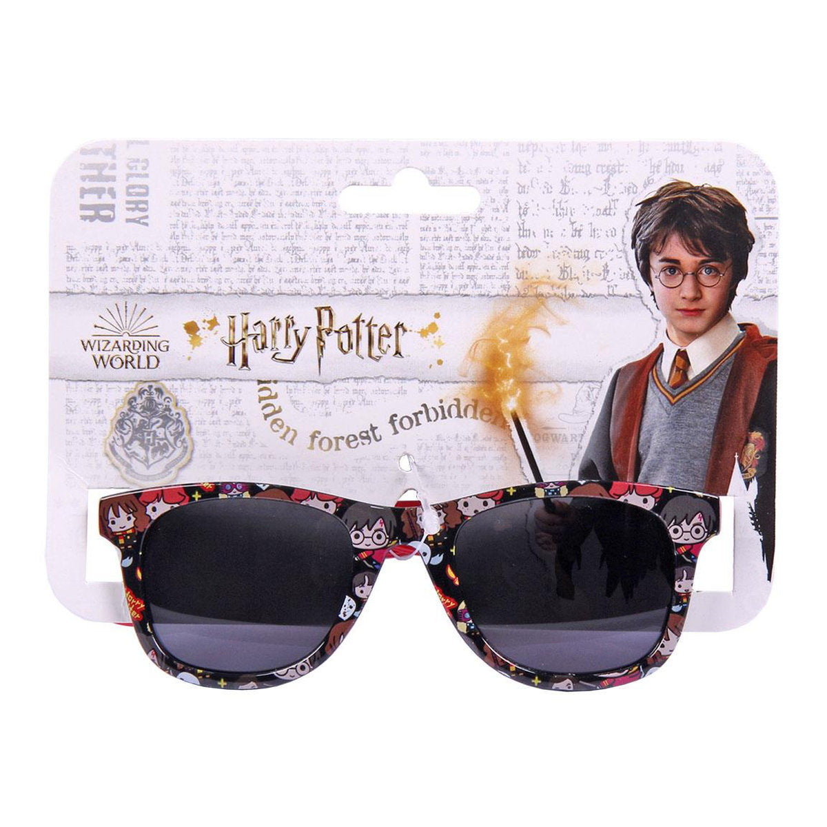 GAFAS DE SOL PREMIUM HARRY POTTER