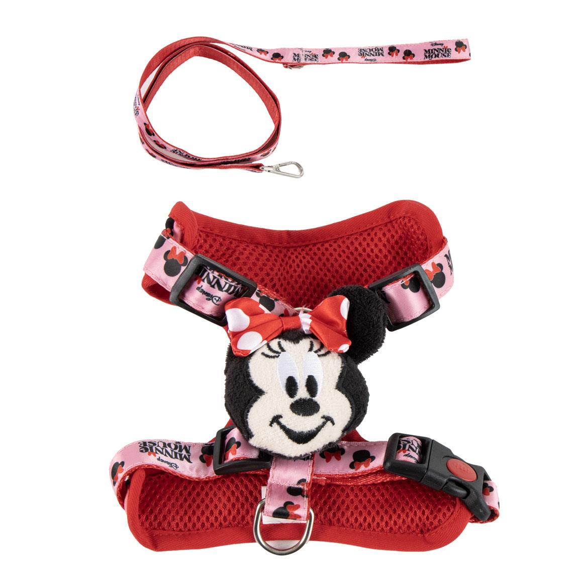 SET ARNES Y CORREA MINNIE