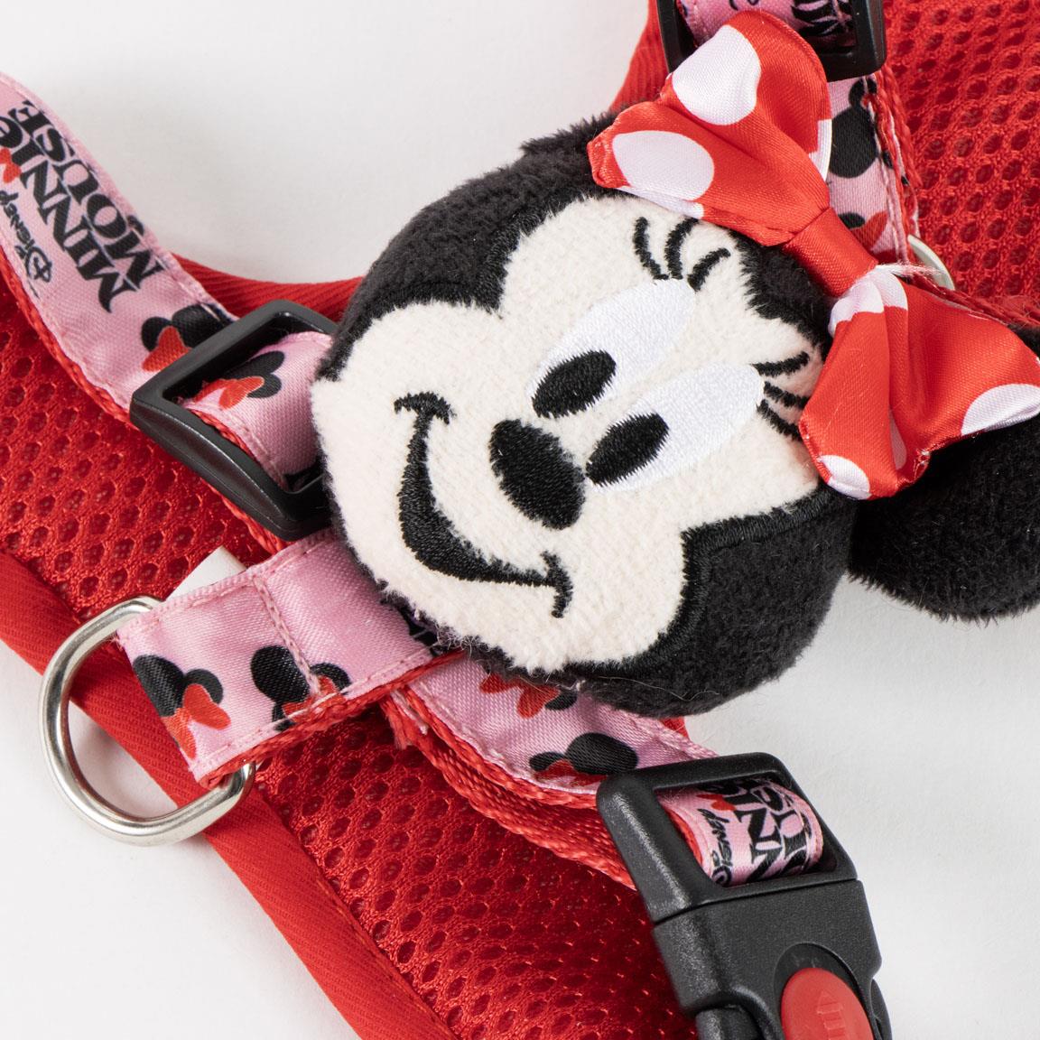 SET ARNES Y CORREA MINNIE