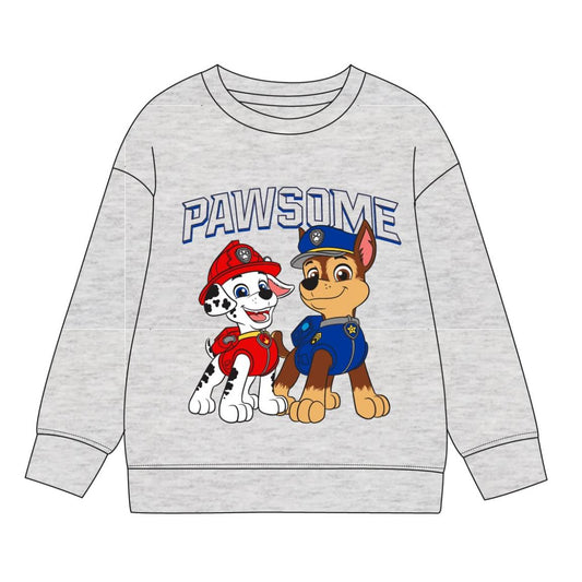 SUDADERA COTTON BRUSHED PAW PATROL - Imagen 1
