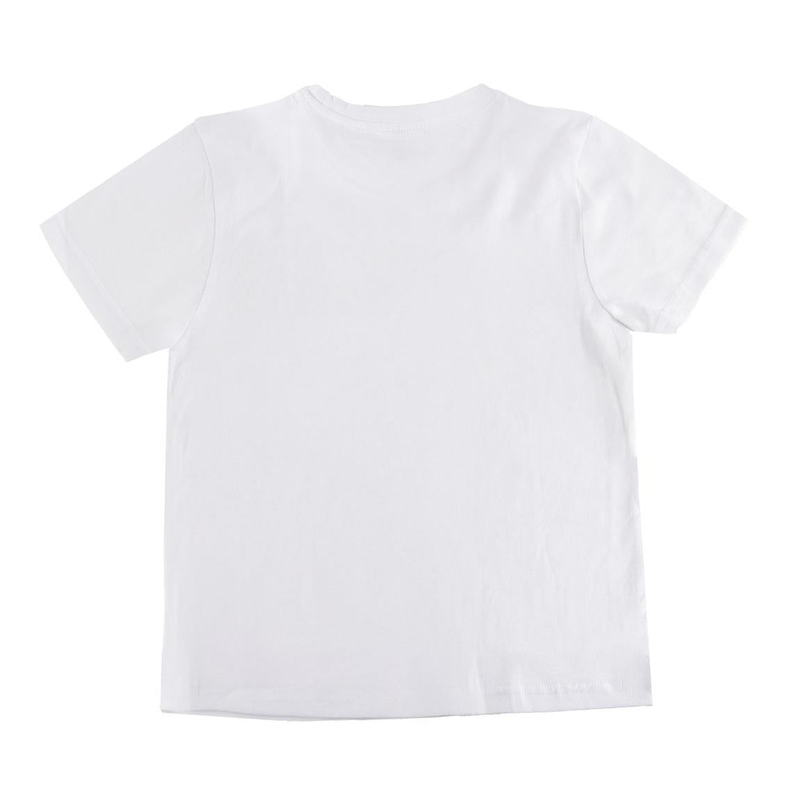 CAMISETA CORTA SINGLE JERSEY AVENGERS HULK