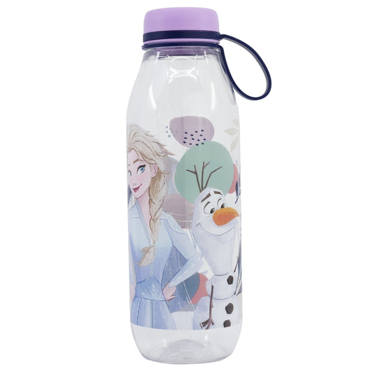 BOTELLA AVENTURA ECOZEN 650 ML FROZEN TRUST THE JOURNEY - Imagen 1