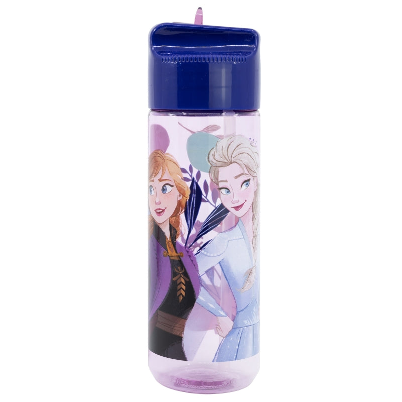 BOTELLA ECOZEN HIDRO GRANDE 540 ML FROZEN TRUST THE JOURNEY - Imagen 1