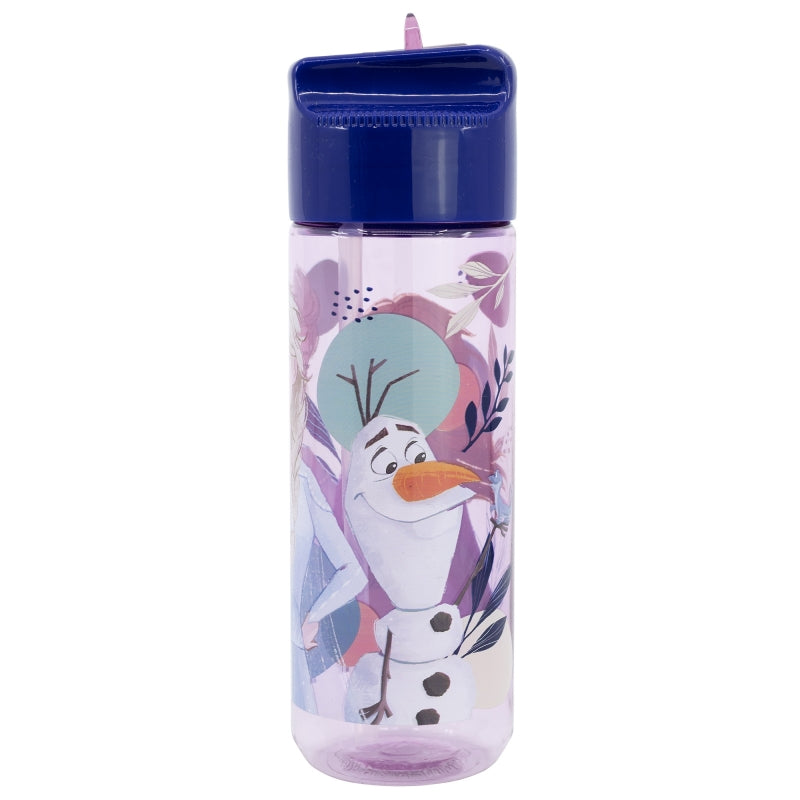BOTELLA ECOZEN HIDRO GRANDE 540 ML FROZEN TRUST THE JOURNEY - Imagen 2