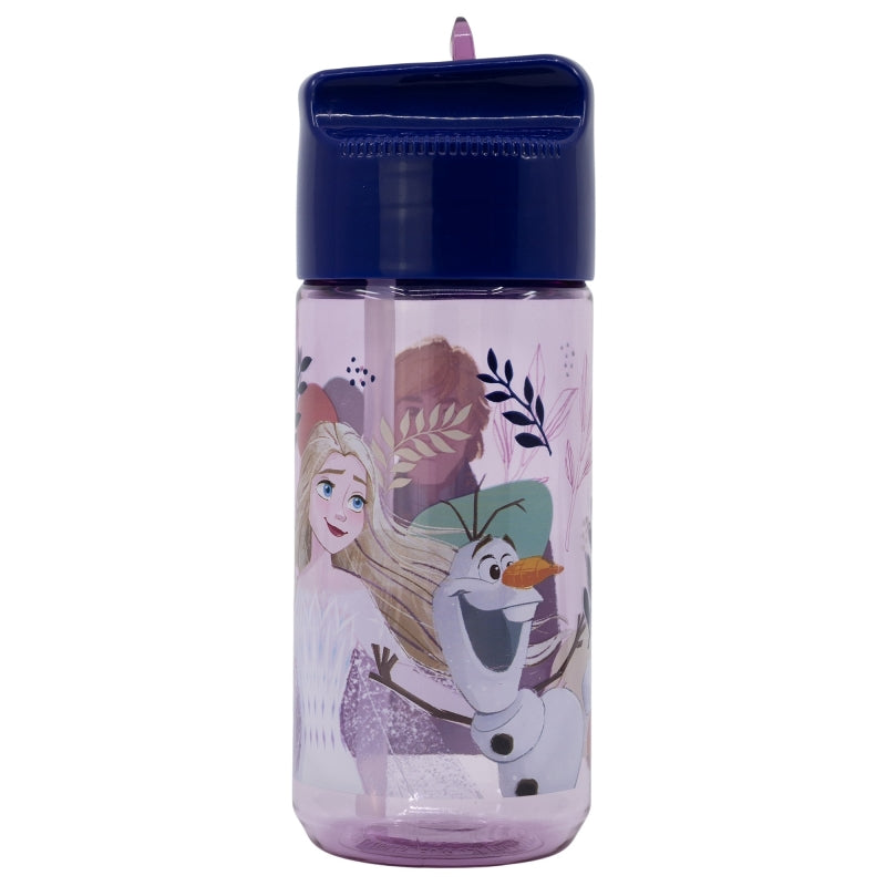 BOTELLA ECOZEN HIDRO PEQUEÃA 430 ML FROZEN TRUST THE JOURNEY - Imagen 1